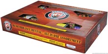 Fireworks - Fireworks Assortments - Remembrance Revival - All in one Assortment