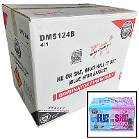 Fireworks - Wholesale Fireworks - He or She What Will it Be? Boy Wholesale Case 4/1
