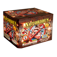 Fireworks - 500g Firework Cakes - Notorious