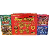 Four Kings 500g Assortment Case Fireworks For Sale - 500g Firework Cakes 