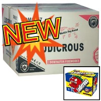 Ludicrous 500g Wholesale Case 12/1 Fireworks For Sale - Wholesale Fireworks 