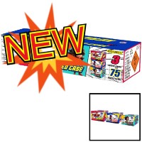 Fireworks - Wholesale Fireworks - Heroes Mixed Case 500g Wholesale Case 1/1