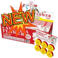 Fireworks - Spinners - Camellia Flower Large Spinner 120 Piece