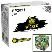 Fireworks - Wholesale Fireworks - Wicked Wholesale Case 24/1