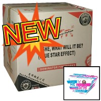 Fireworks - Wholesale Fireworks - He Or She What Will it Be? Blue Smoke 500g Wholesale Case 4/1