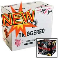 Triggered 500g Wholesale Case 4/1 Fireworks For Sale - Wholesale Fireworks 