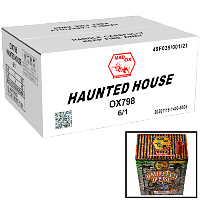 Haunted House Wholesale Case 6/1 Fireworks For Sale - Wholesale Fireworks 