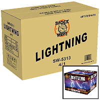sw-5313-lightning-case